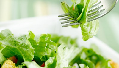 Comment conserver une salade avec ou sans réfrigérateur ?