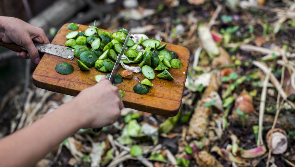 Se lancer dans le compost !