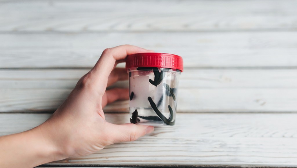 Baromètre vivant - Secret d\'autrefois