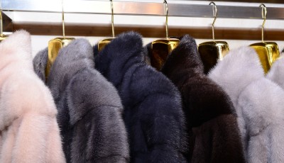 Comment conserver les fourrures - Astuces du 19ème siècle