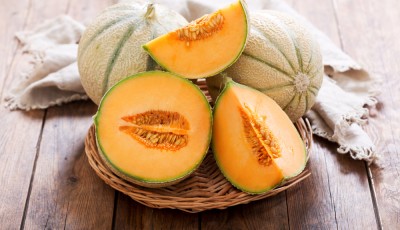 Comment conserver les melons - Astuces du 19ème siècle