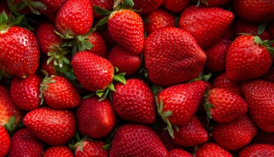 Comment accentuer le parfum et la saveur des fraises