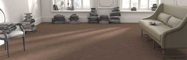 Conseils pour l\'entretien de la moquette