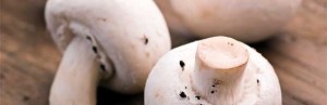 Les champignons - Astuce cuisine