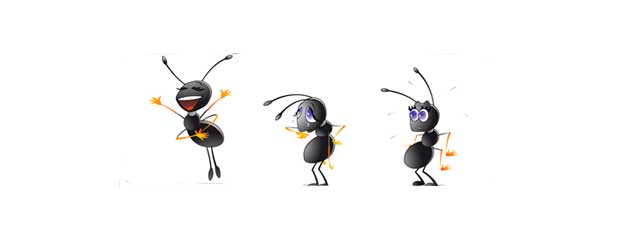 Astuces et méthodes naturelles contre les fourmis