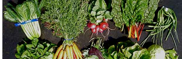 Astuces anti-gaspillage pour les légumes