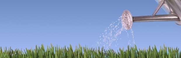 Astuces économiques pour l\'arrosage