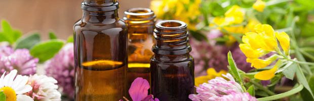 Utilisation et rôle des essences et  huiles essentielles