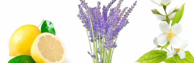 Crème naturelle adoucissante pour les mains sèches