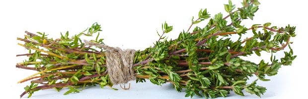 Lotion purifiante naturelle qui traite l\'acné et la peau grasse