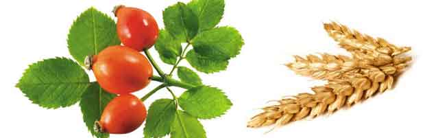 Masque visage régénérant et nourrissant pour peau sèche ,sensible ou abîmée