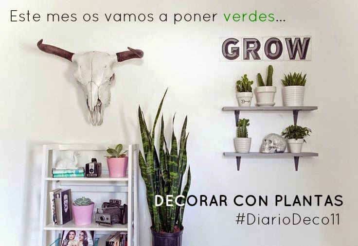 #DIARIODECO11: DECORAR CON PLANTAS + SORTEO