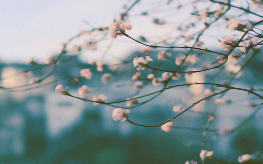 Diariodeco, la fiesta, ANTES Y DESPUES