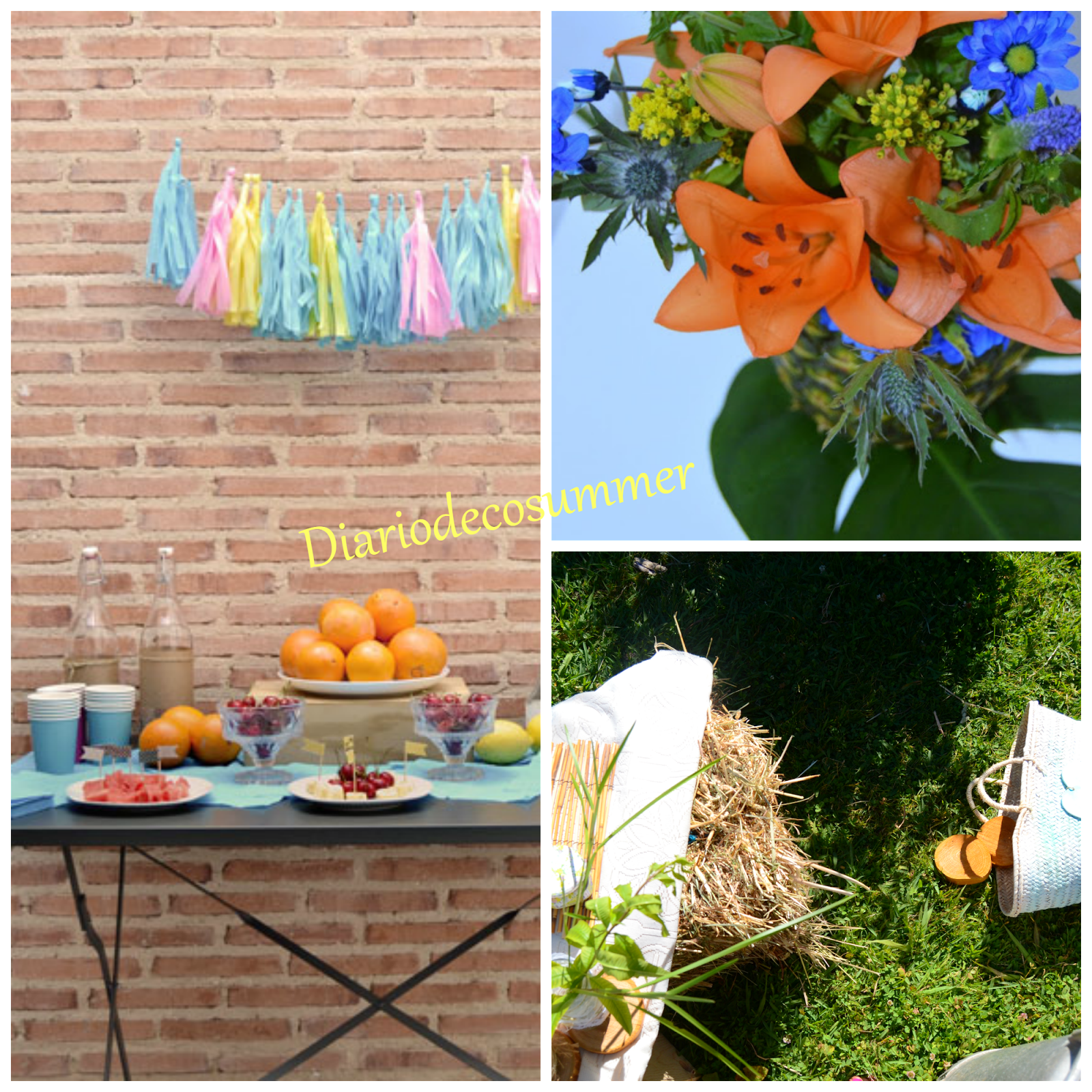 Resumen diariodecosummer