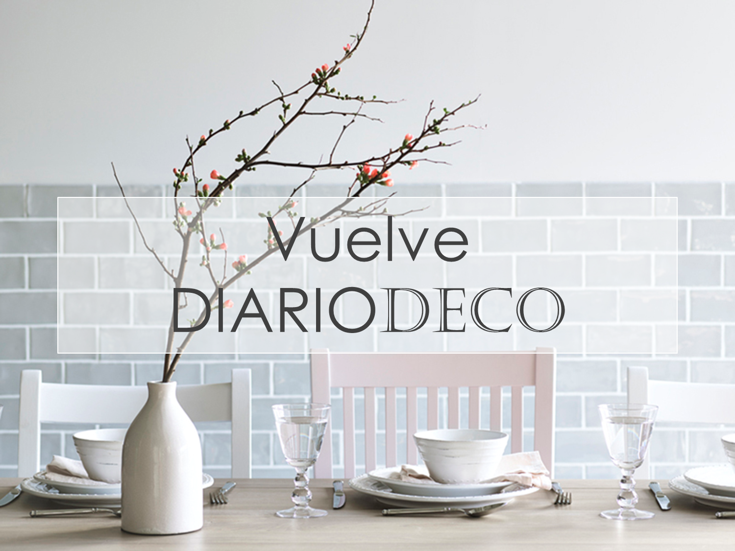 Vuelve Diariodeco