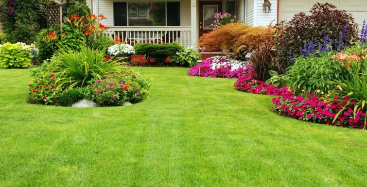 Prepara tu jardín para el verano
