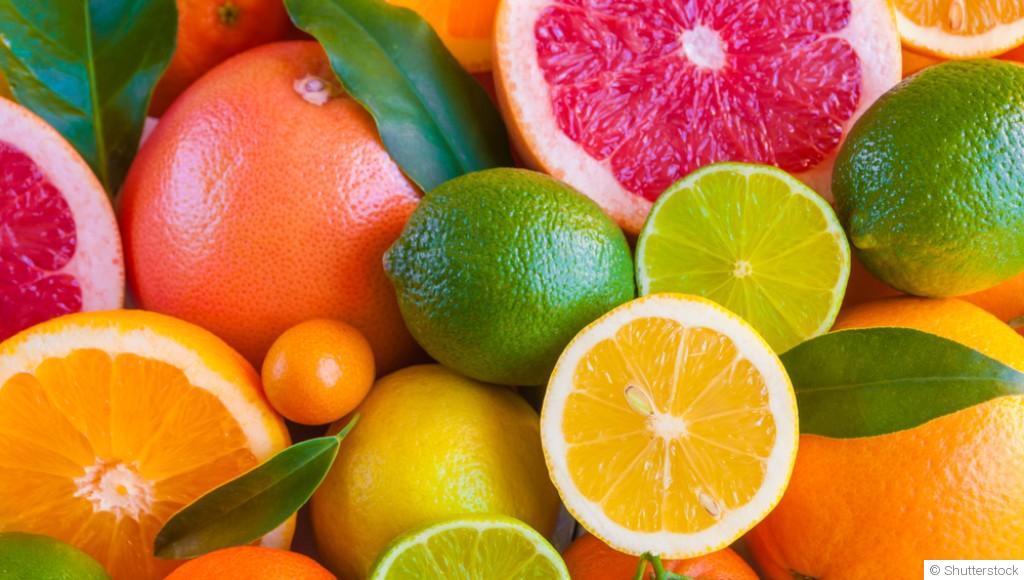 Bouture d\'agrume : quand et comment bouturer un agrume ?