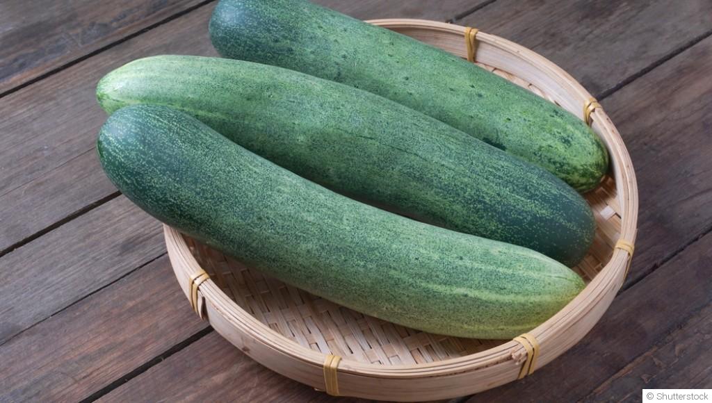 Comment planter et obtenir des concombres croquants pour tes salades ?