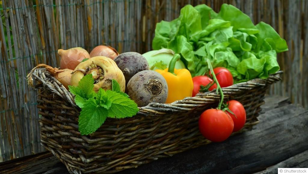 5 astuces pratiques pour améliorer la santé de votre jardin et obtenir une belle récolte !