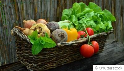 5 astuces pratiques pour améliorer la santé de votre jardin et obtenir une belle récolte !