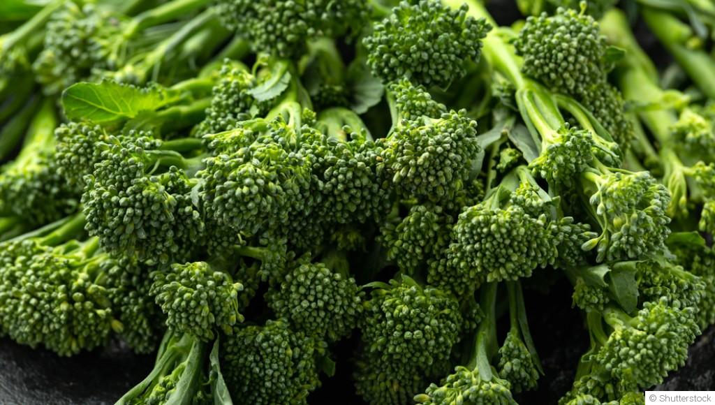 Comment planter et obtenir des brocolis tendres et nutritifs dans ton potager ?