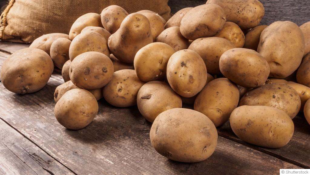 Comment planter et obtenir des pommes de terre nouvelles pour accompagner tes plats estivaux ?