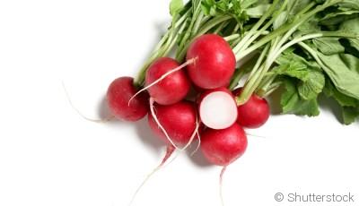 Comment planter et obtenir des radis croquants en quelques semaines ?