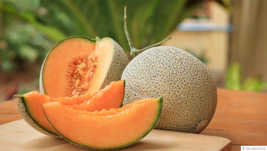 Comment planter et obtenir des melons sucrés pour te rafraîchir en été ?
