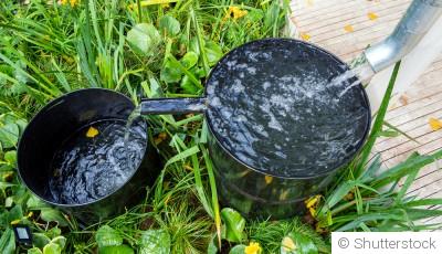 Découvrez comment économiser de l\'eau tout en gardant un jardin verdoyant grâce à ces astuces simples et efficaces !