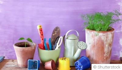 Comment choisir les bons outils de jardinage ?