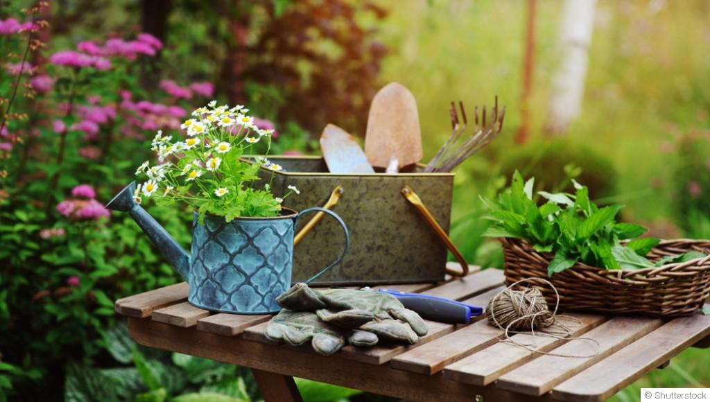 Comment créer un jardin écologique sans produits chimiques ?