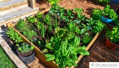 Comment créer un potager en carrés pour optimiser l\'espace ?