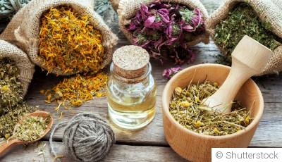 Comment cultiver des plantes médicinales dans un petit jardin ?