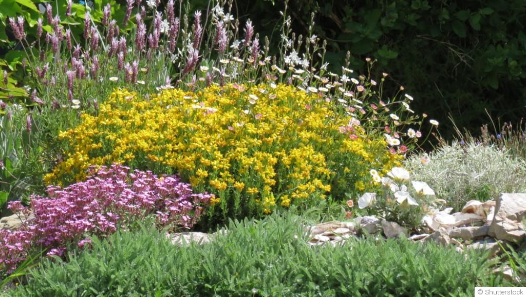 Comment entretenir un jardin en climat méditerranéen ?