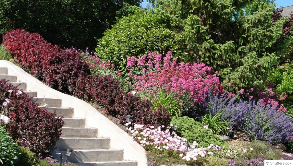 Comment entretenir un jardin en pente ?