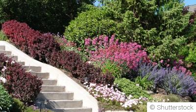 Comment entretenir un jardin en pente ?
