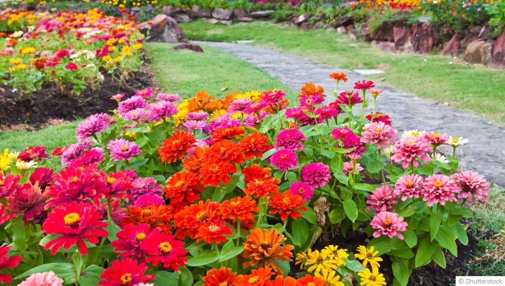 Les étapes pour créer un jardin de fleurs coloré
