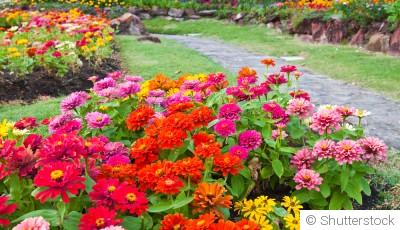 Les étapes pour créer un jardin de fleurs coloré