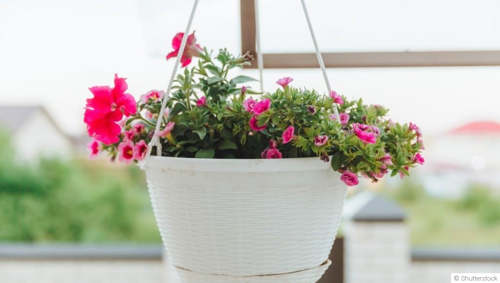 Comment faire une jardinière suspendue avec des fleurs ?