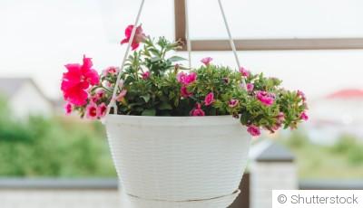 Comment faire une jardinière suspendue avec des fleurs ?