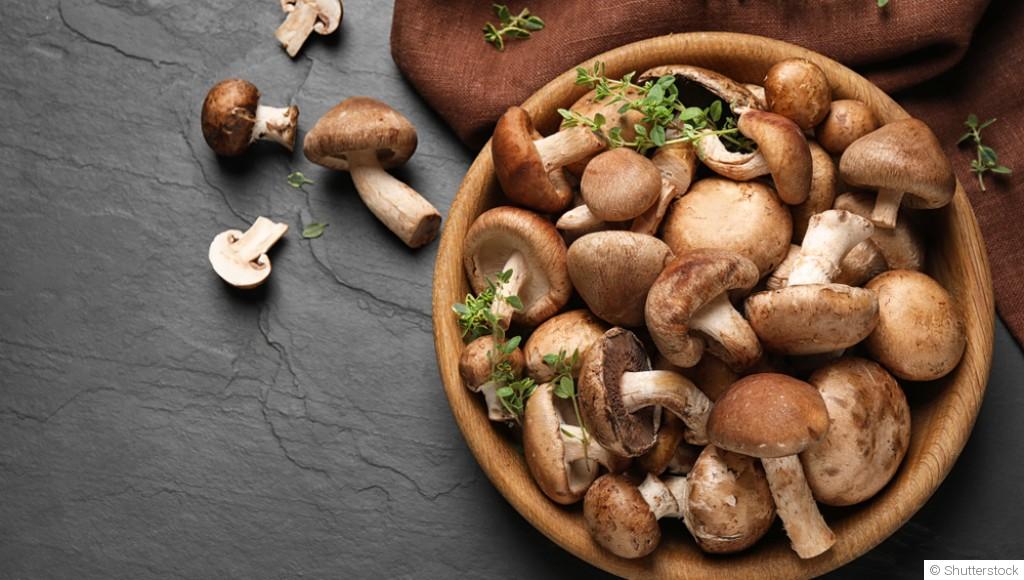 Comment faire pousser des champignons chez toi ?