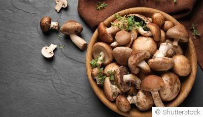 Comment faire pousser des champignons chez toi ?