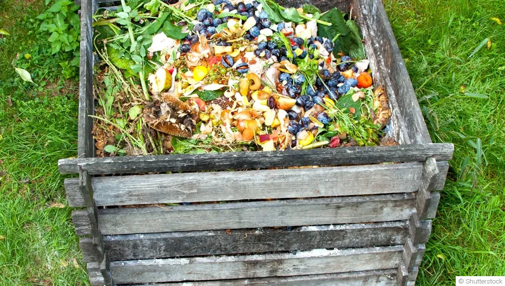 Comment faire un compost à partir de déchets de cuisine ?