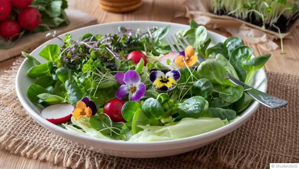 Les fleurs comestibles à ajouter à tes plats
