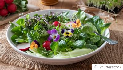 Les fleurs comestibles à ajouter à tes plats