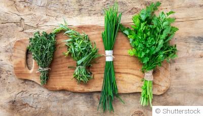 Les herbes aromatiques pour parfumer tes plats