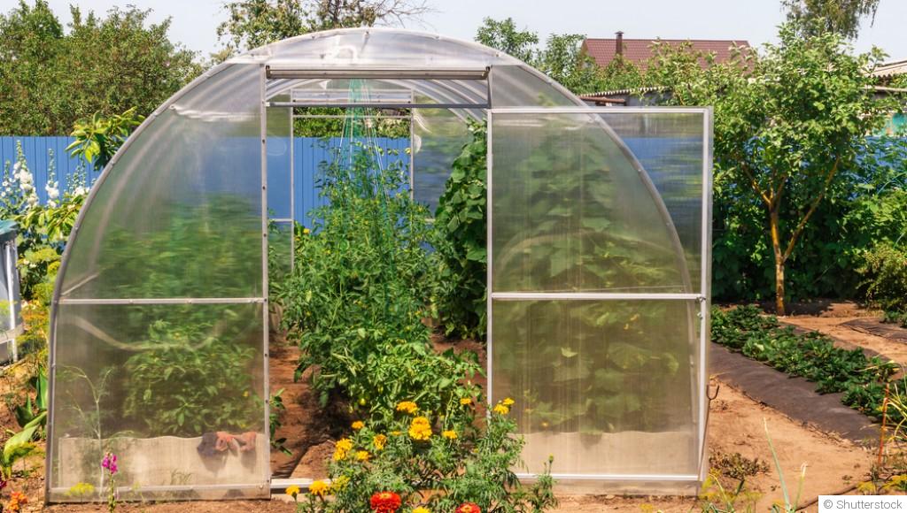 Les légumes à cultiver en hiver dans une serre
