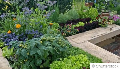 Les légumes à cultiver dans un jardin urbain