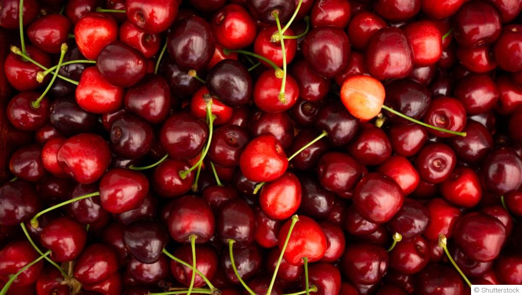 Comment planter et obtenir des cerises acides pour des confitures et desserts acidulés ?