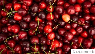 Comment planter et obtenir des cerises acides pour des confitures et desserts acidulés ?